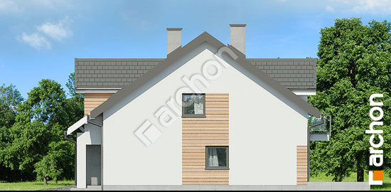 Бочний фасад Будинок під агавами 3 (Р2)