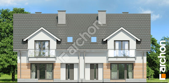 Дворовий фасад Будинок під агавами 3 (Р2)