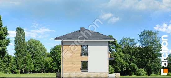 Боковой фасад Дом в мирте 3 (B) вер.3