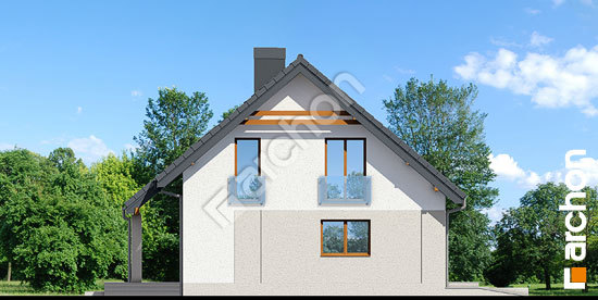 Боковой фасад Дом в яблонках 3