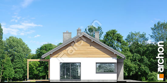 Бочний фасад Будинок в мекінтошах 9 (Г)