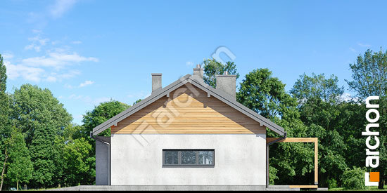 Бочний фасад Будинок в мекінтошах 9 (Г)