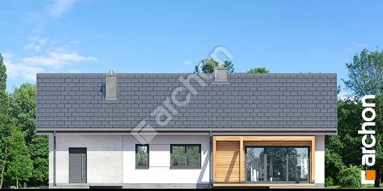 Дворовий фасад Будинок в мекінтошах 9 (Г)