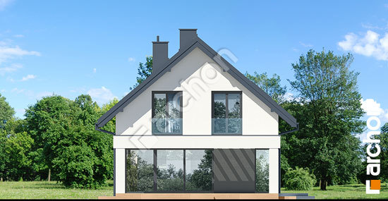 Бочний фасад Будинок в шишковиках