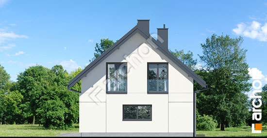 Бочний фасад Будинок в шишковиках