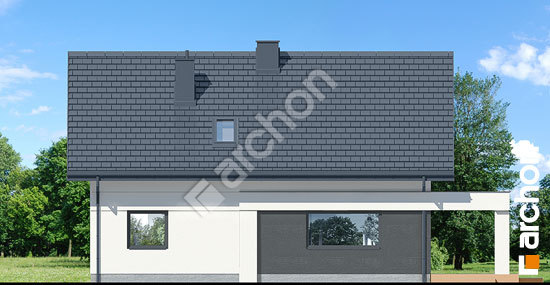 Дворовий фасад Будинок в шишковиках