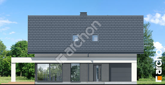 Передній фасад Будинок в шишковиках