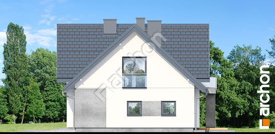 Бочний фасад Будинок в фаворитках