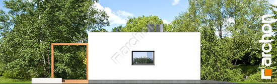 Бочний фасад Будинок в плюмеріях 3 (Г)