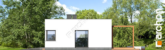 Бочний фасад Будинок в плюмеріях 3 (Г)