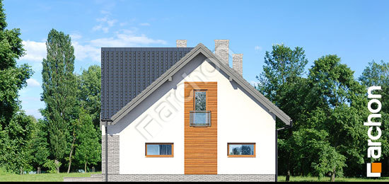 Боковой фасад Дом в терновнике