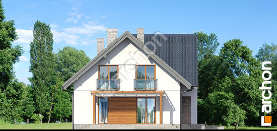 Боковой фасад Дом в терновнике