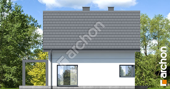 Бочний фасад Будинок в хлорофітумі 22