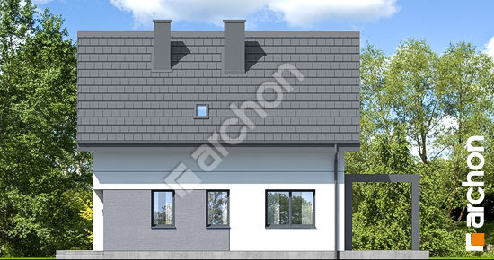 Боковой фасад Дом в хлорофитуме 22