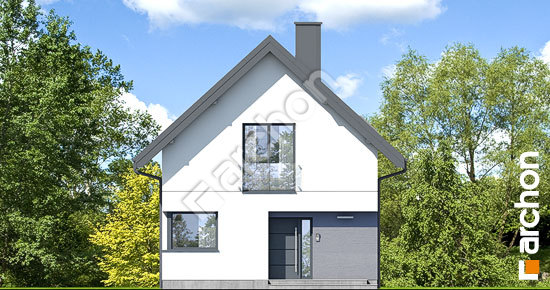 Передний фасад Дом в хлорофитуме 22