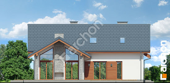 Дворовий фасад Будинок в первоцвітах 2 (Г2)