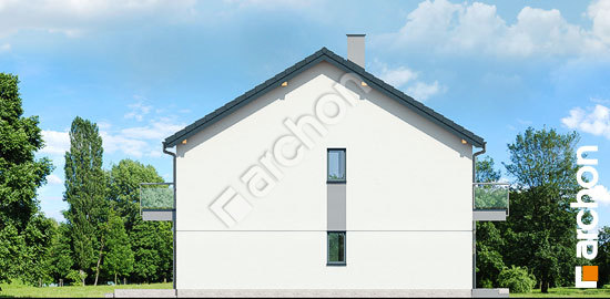 Бочний фасад Будинок в фіалках (Р2Е)     