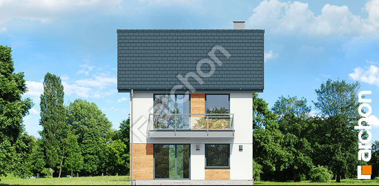 Дворовий фасад Будинок в фіалках (Р2Е)     