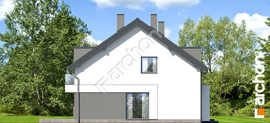 Боковой фасад Дом в нарциссах 4 (Р2)