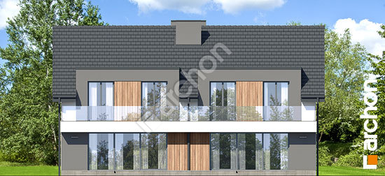 Дворовий фасад Будинок в нарцисах 4 (Р2)