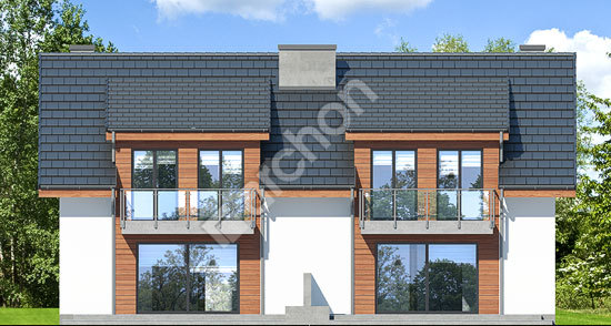 Дворовой фасад Дом в клематисах 20 (Р2) вер. 2