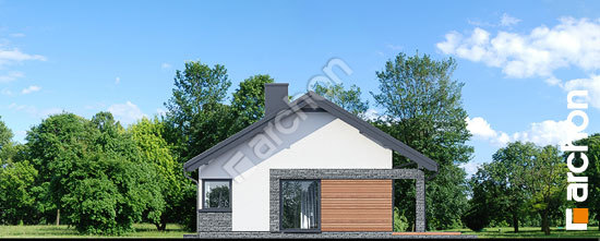 Бочний фасад Будинок в плюмеріях 4