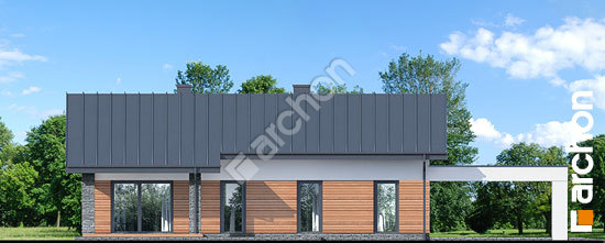 Дворовий фасад Будинок в плюмеріях 4