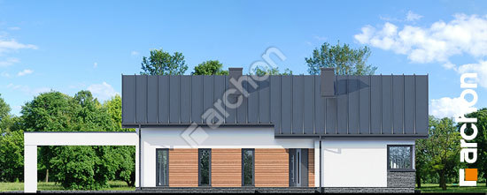 Передний фасад Дом в плюмериях 4