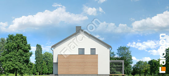 Боковой фасад Дом в фиалках 4 (Р2Б)