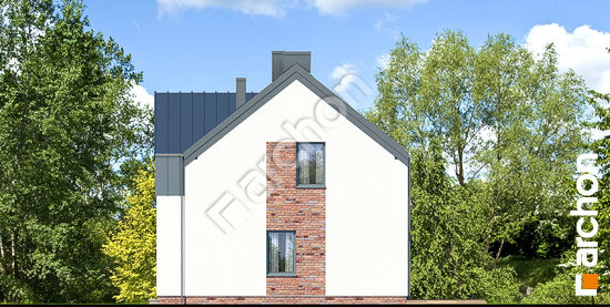 Боковой фасад Дом в гунерах (Р2) вер. 2