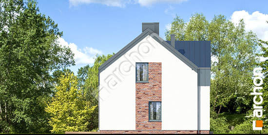 Боковой фасад Дом в гунерах (Р2) вер. 2