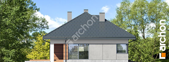 Бочний фасад Будинок в сантолінах 3