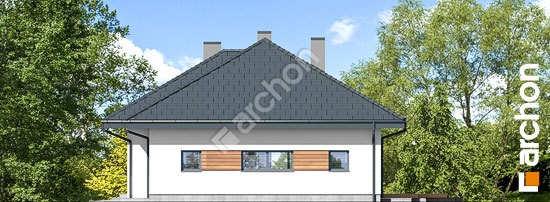 Бочний фасад Будинок в сантолінах 3