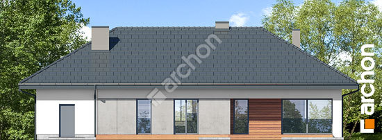 Дворовий фасад Будинок в сантолінах 3