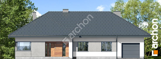 Передний фасад Дом в сантолинах 3