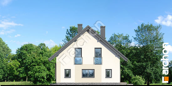 Бочний фасад Будинок в ізопірумі