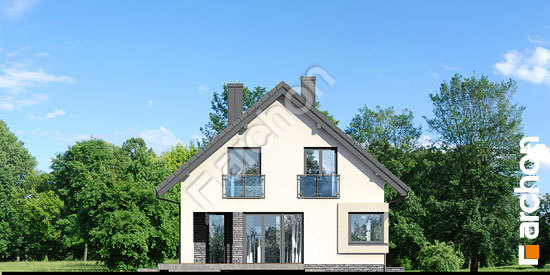 Боковой фасад Дом в изопируме