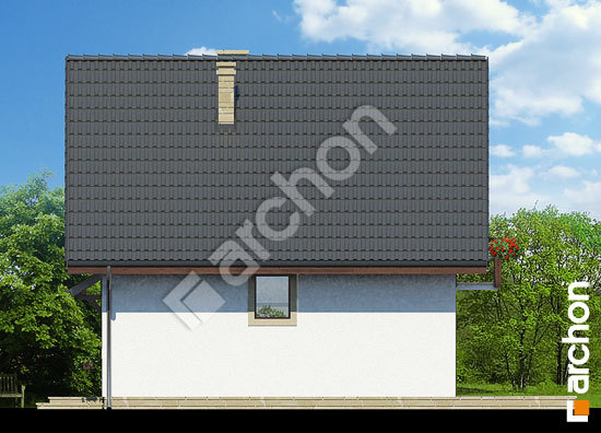 Боковой фасад Дом на пригорке вер.2