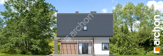 Бочний фасад Будинок в фаворитках 2 (Б)