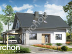 Проект дома ARCHON+ Дом в хлорофитуме 18 додаткова візуалізація