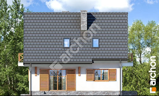 Дворовий фасад Будинок в суниці 7 (П)