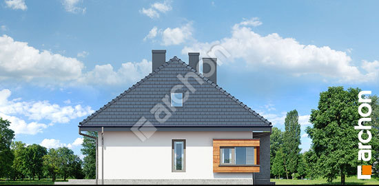 Боковой фасад Дом под красной рябиной 18