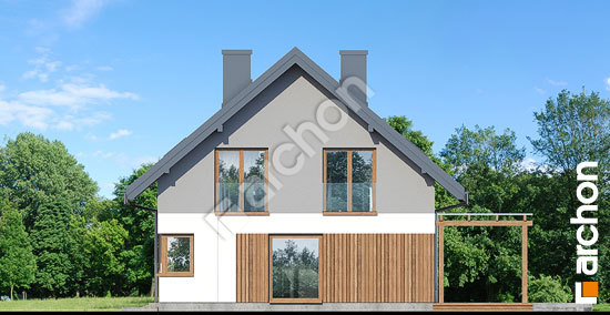 Боковой фасад Дом в аммобиуме (Г2)