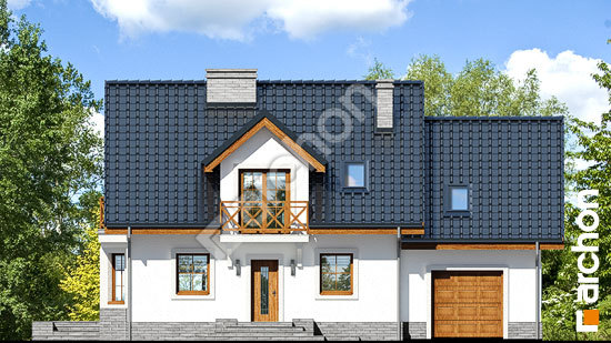 Передній фасад Будинок в рододендронах 19 (П)