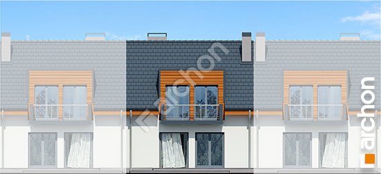 Дворовой фасад Дом в клематисах 8 (С) вер. 3