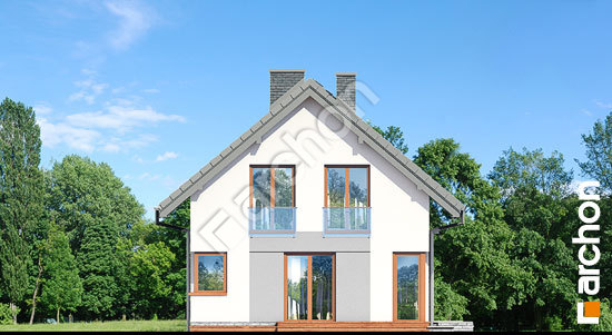 Бочний фасад Будинок в кропликах (В)