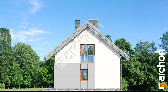 Боковой фасад Дом в кропликах (В)