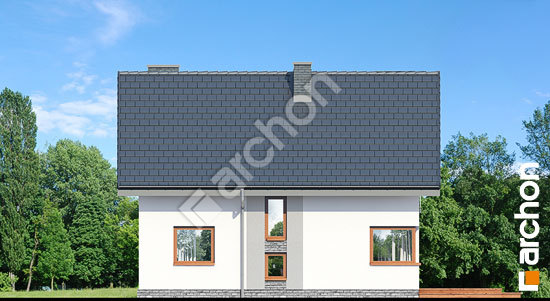 Дворовий фасад Будинок в кропликах (В)