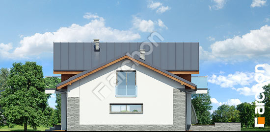 Бочний фасад Будинок в буддлеях вер.3