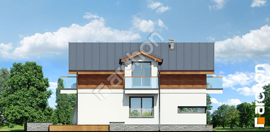 Боковой фасад Дом в буддлеях вер.3